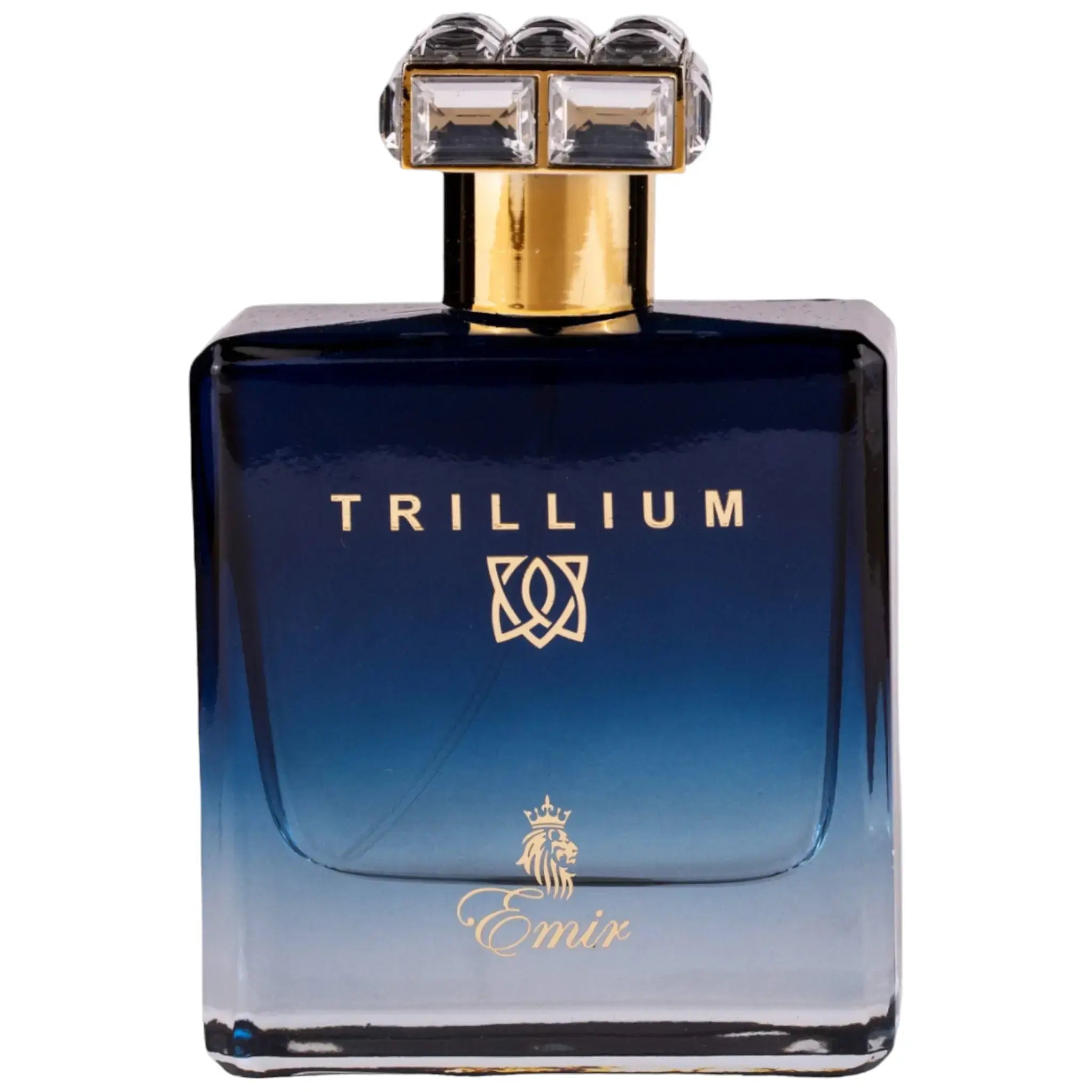 EMIR Trillium perfume inspired by Roja Elysium with citrus, vetiver, leather, and ambergris – fresh, refined masculine fragrance