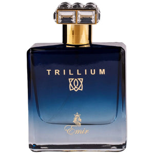 EMIR Trillium perfume inspired by Roja Elysium with citrus, vetiver, leather, and ambergris – fresh, refined masculine fragrance